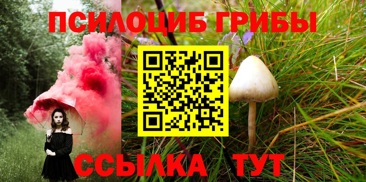 Галлюциногенные грибы Psilocybine cubensis  Вход с VPN  Воскресенск 