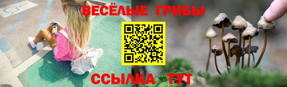 Галлюциногенные грибы MAGIC MUSHROOMS Воскресенск